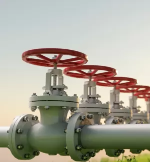 Warwick Royalty and Mineral Funds